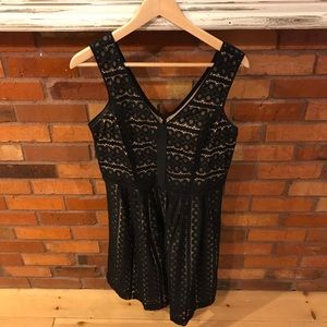 Loft Black and Nude Cocktail Dress